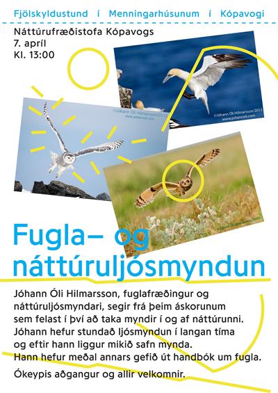 Fugla-og_náttúruljósmyndun_7.apríl_natkop.jpg